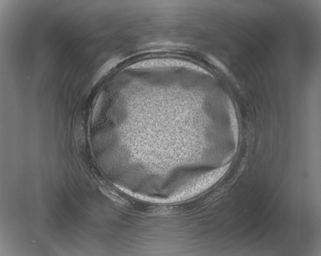 X0000080711259200701021019