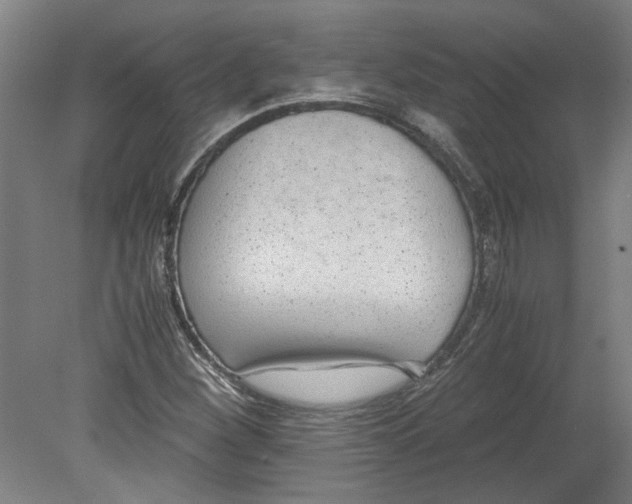 X0000080711260200701021019