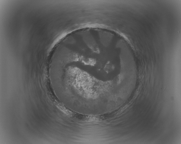 X0000080711263200701021019