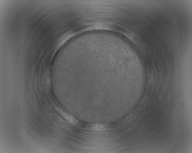 X0000080711266200701021019