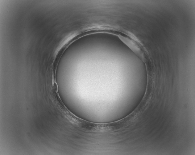 X0000080711269200701021019