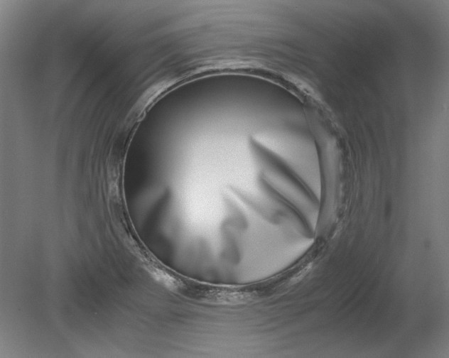 X0000080711273200701021019