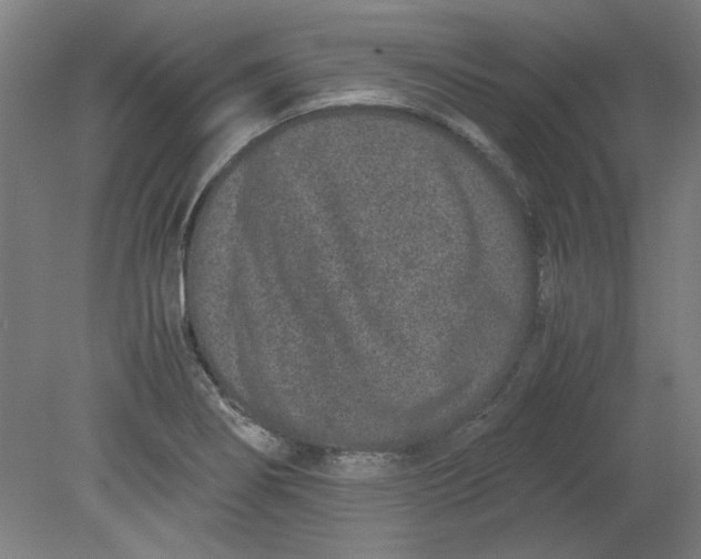 X0000080711274200701021019