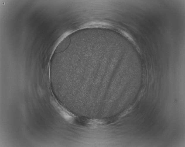 X0000080711275200701021019