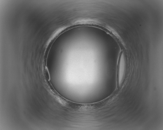 X0000080711277200701021019