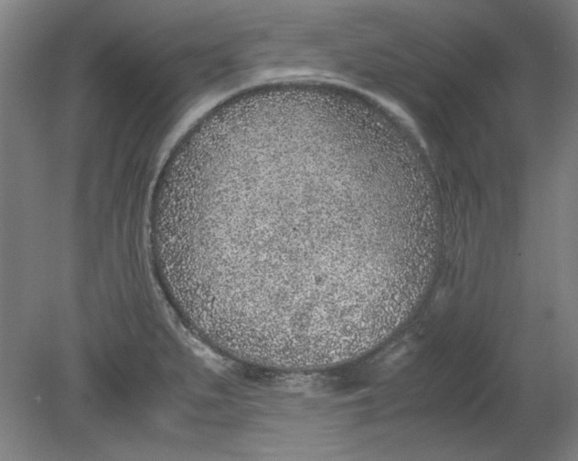 X0000080711279200701021019