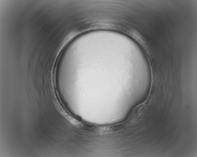 X0000080711283200701021019