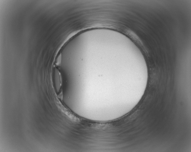 X0000080711284200701021019