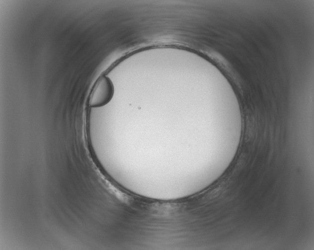 X0000080711286200701021019