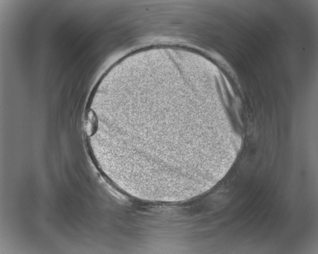 X0000080711287200701021019