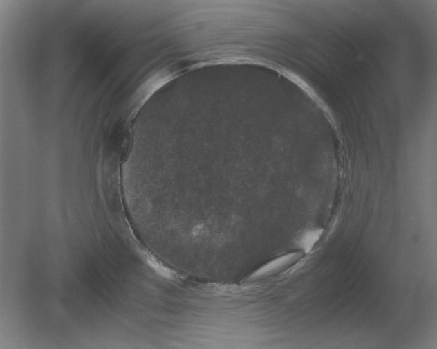 X0000080711289200701021019