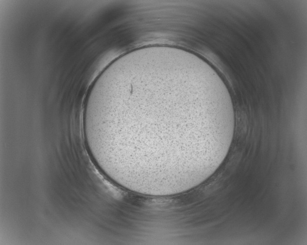 X0000080711290200701021019