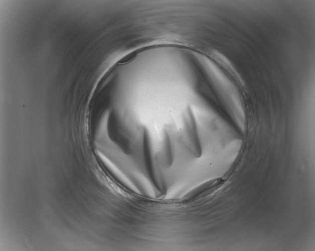 X0000080711292200701021019