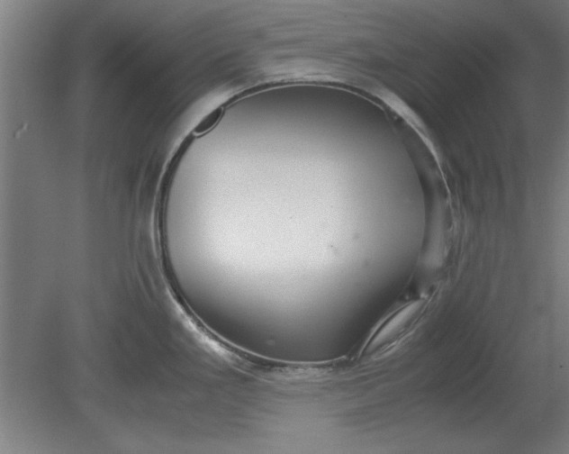 X0000080711293200701021019