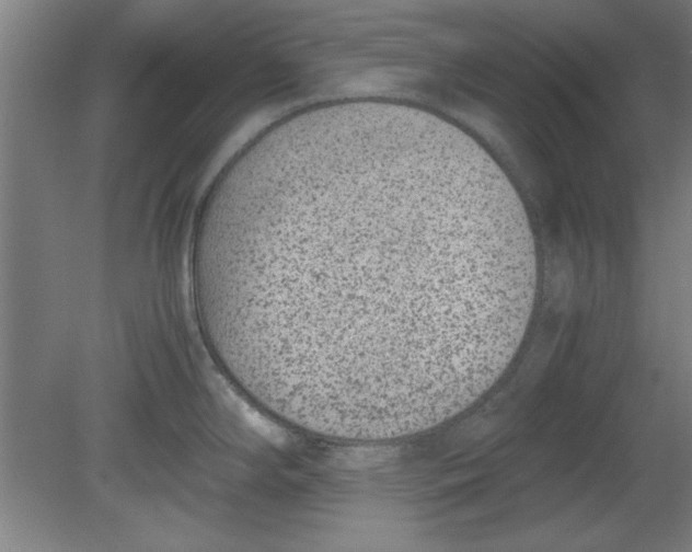 X0000080711294200701021019