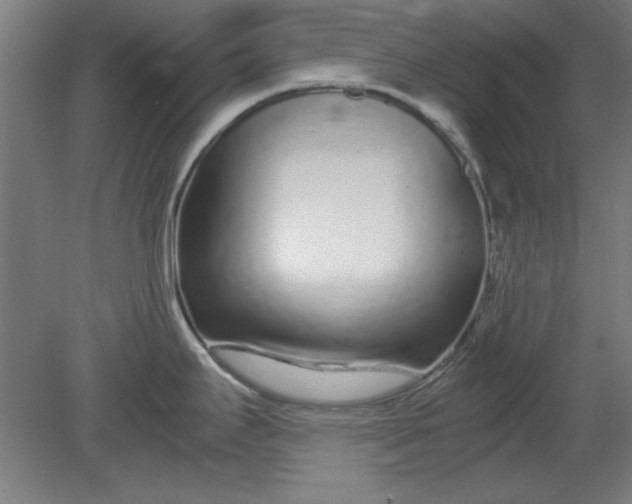 X0000080711295200701021019