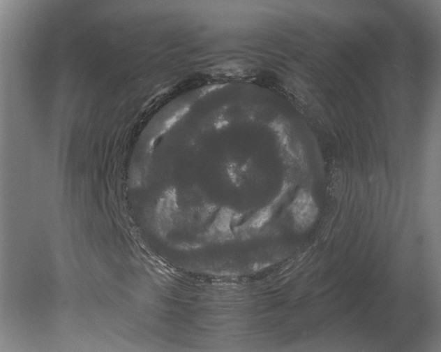 X0000080711297200701021018