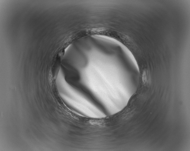 X0000080711299200701021018