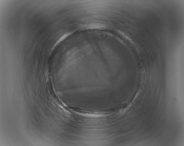 X0000080711306200701021018