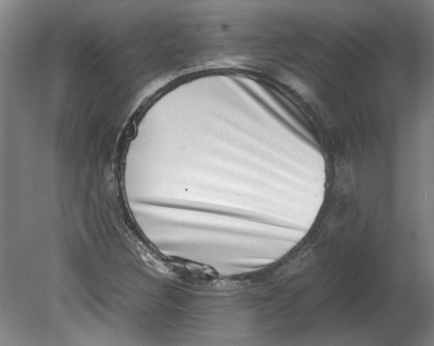 X0000080711308200701021018