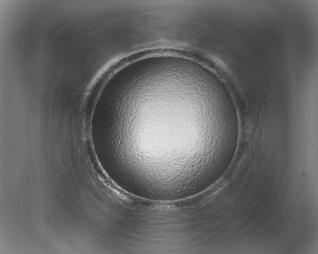 X0000080711310200701021018