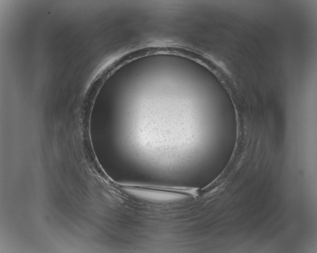 X0000080711311200701021018