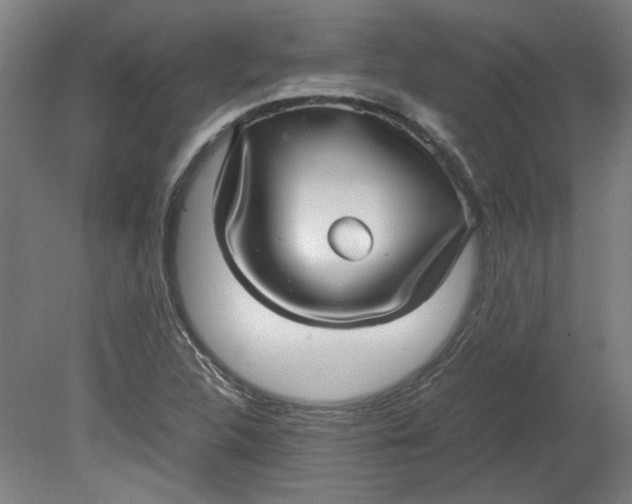 X0000080711312200701021018