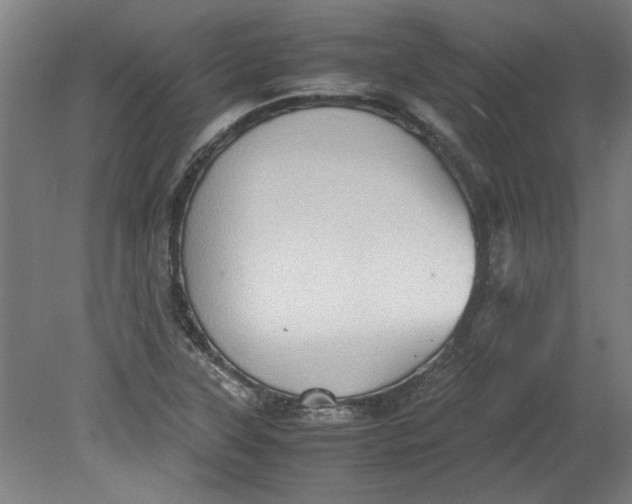 X0000080711315200701021018