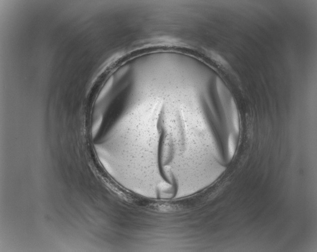 X0000080711318200701021018