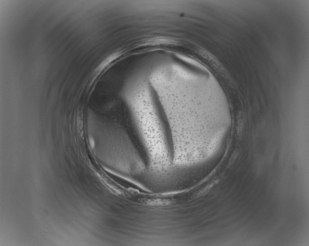 X0000080711321200701021018