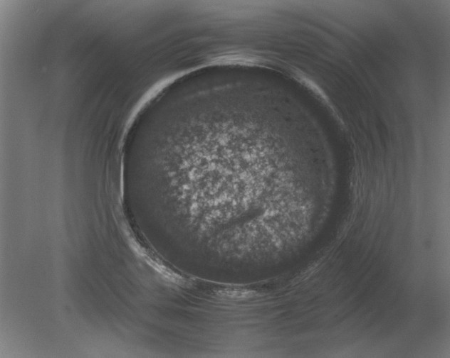 X0000080711323200701021018