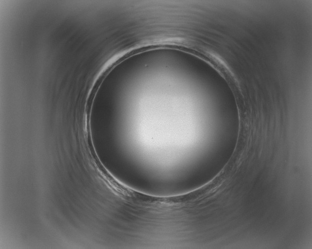 X0000080711324200701021018