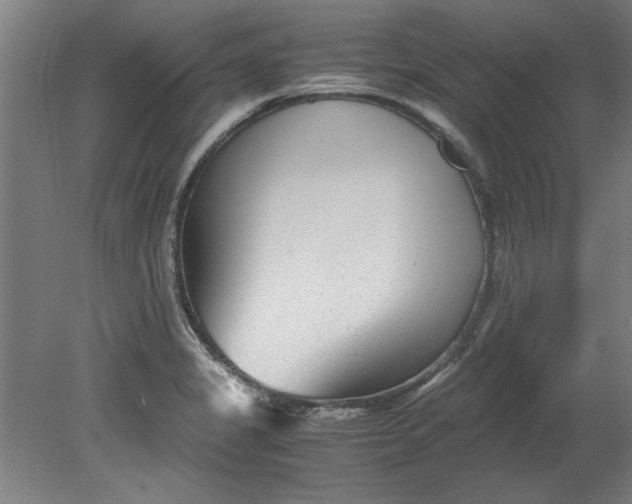 X0000080711325200701021018