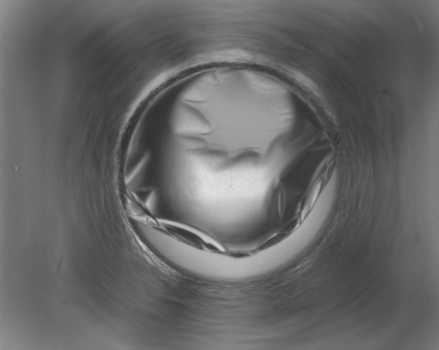 X0000080711326200701021018