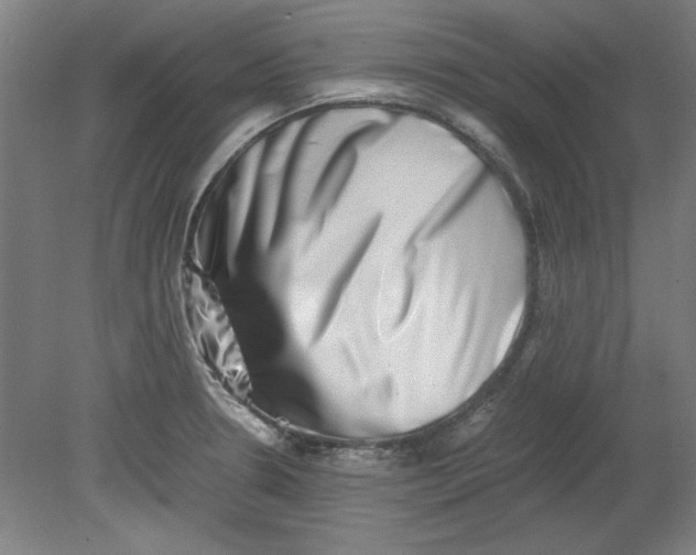 X0000080711330200701021018