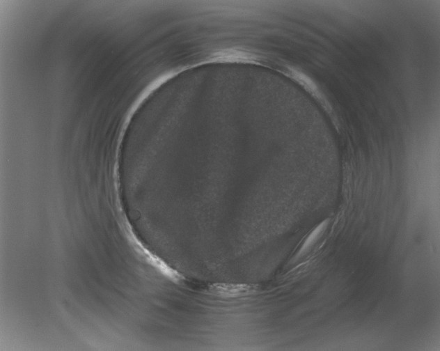 X0000080711331200701021018