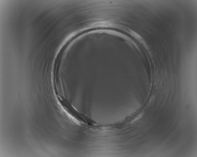 X0000080711334200701021018