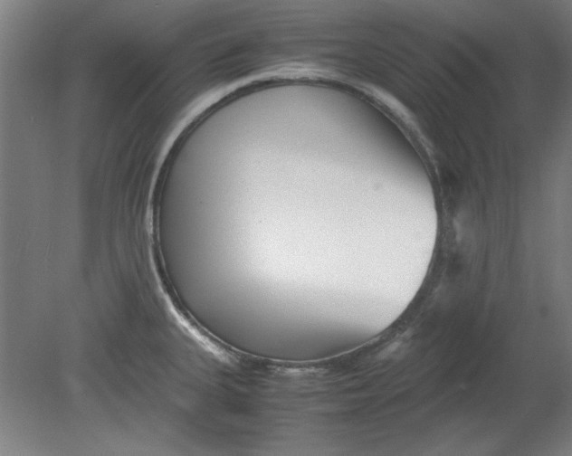 X0000080711335200701021018