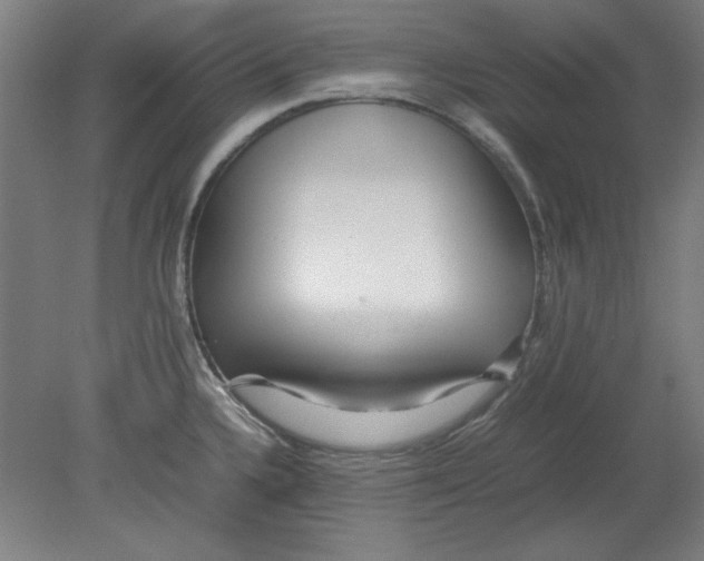 X0000080711336200701021018