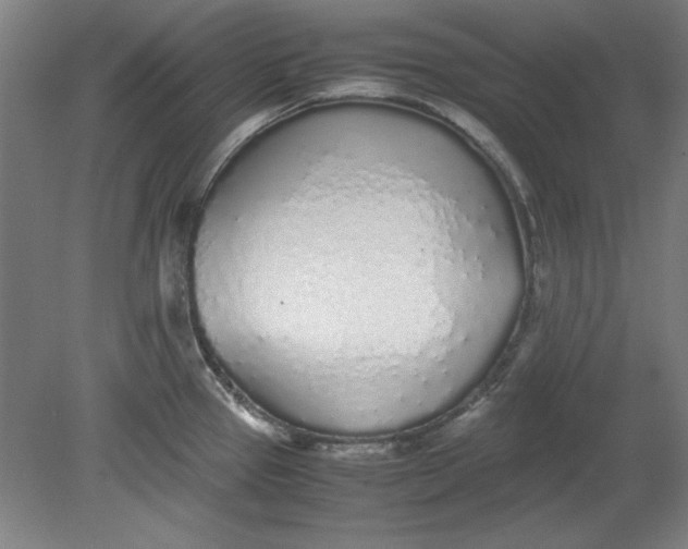 X0000080711337200701021018