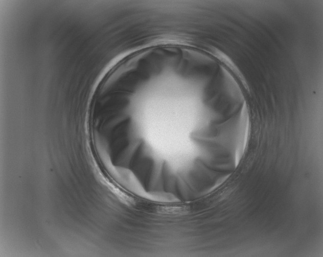 X0000080711339200701021018