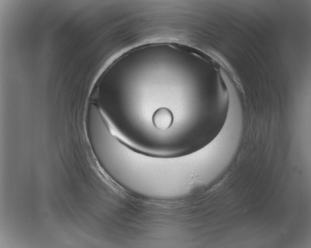 X0000080711340200701021018