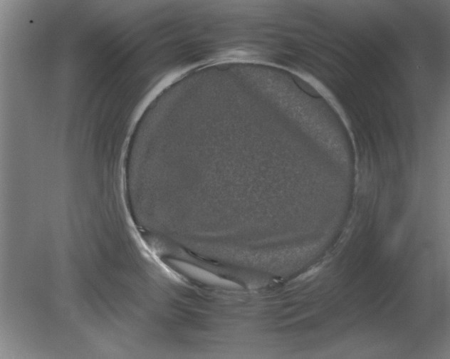 X0000080711341200701021018