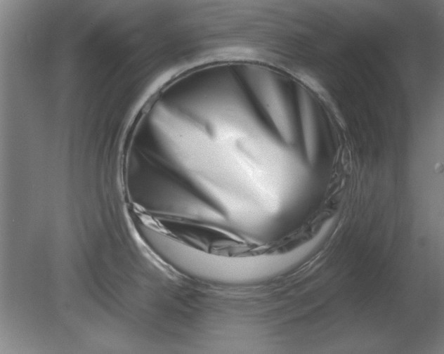 X0000080711342200701021018