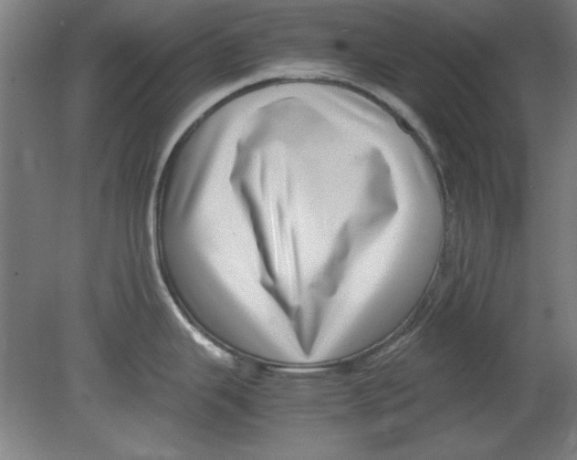 X0000080711343200701021018