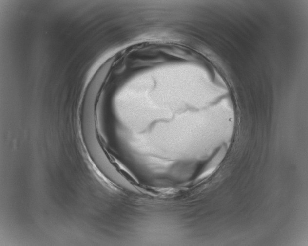 X0000080711344200701021018