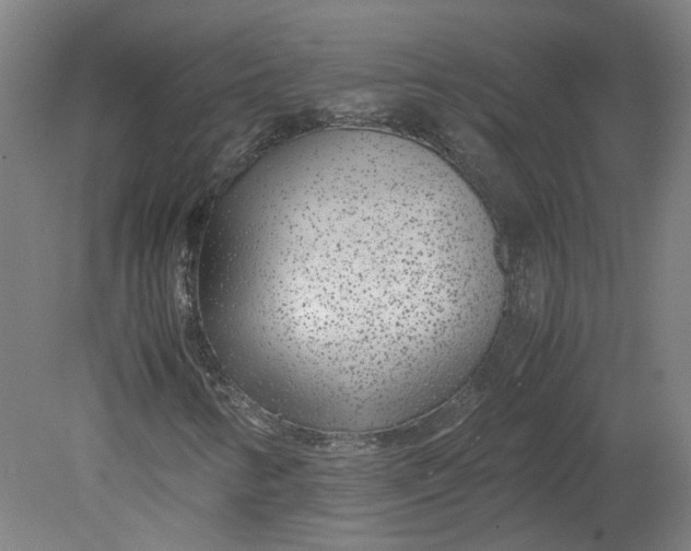 X0000080711346200701021018