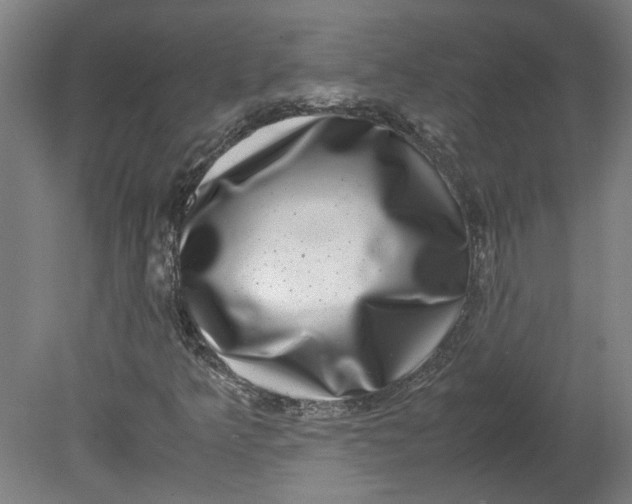 X0000080711349200701021018