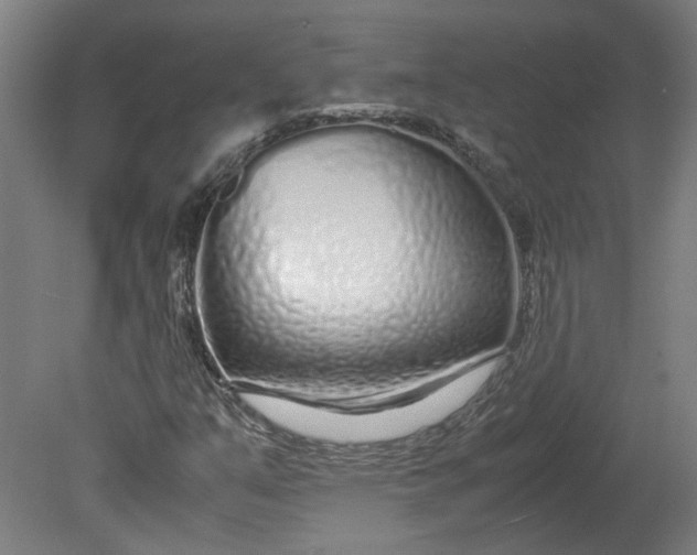 X0000080711351200701021018