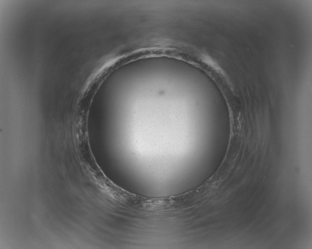 X0000080711352200701021018